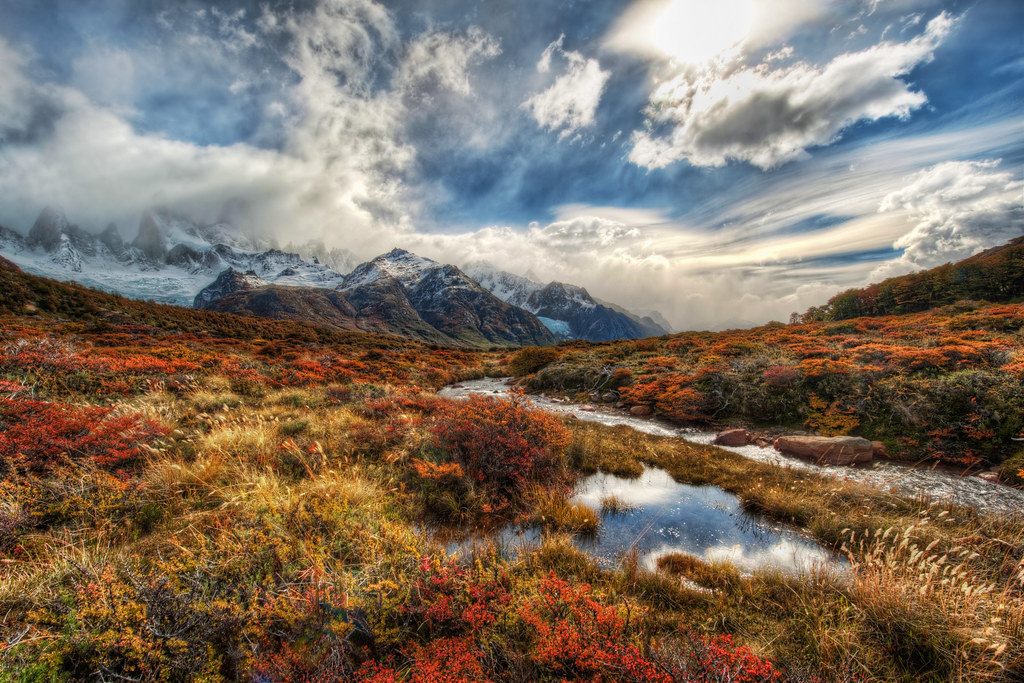 patagonian_field